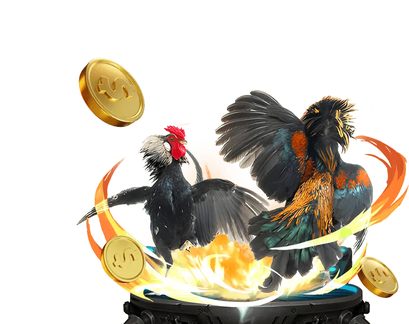 Chính sách cá cược có trách nhiệm